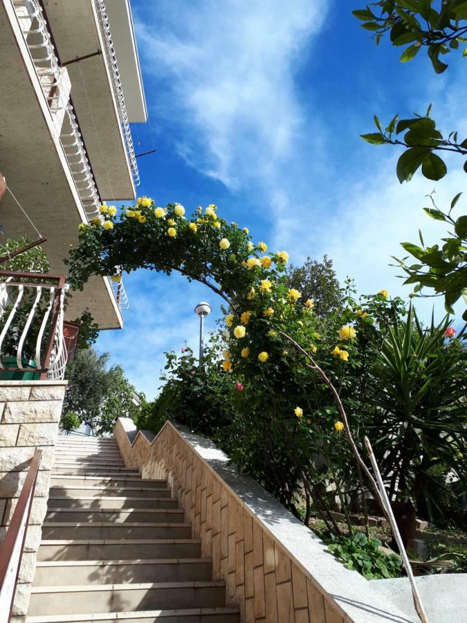 Apartment Silvia マカルスカ エクステリア 写真