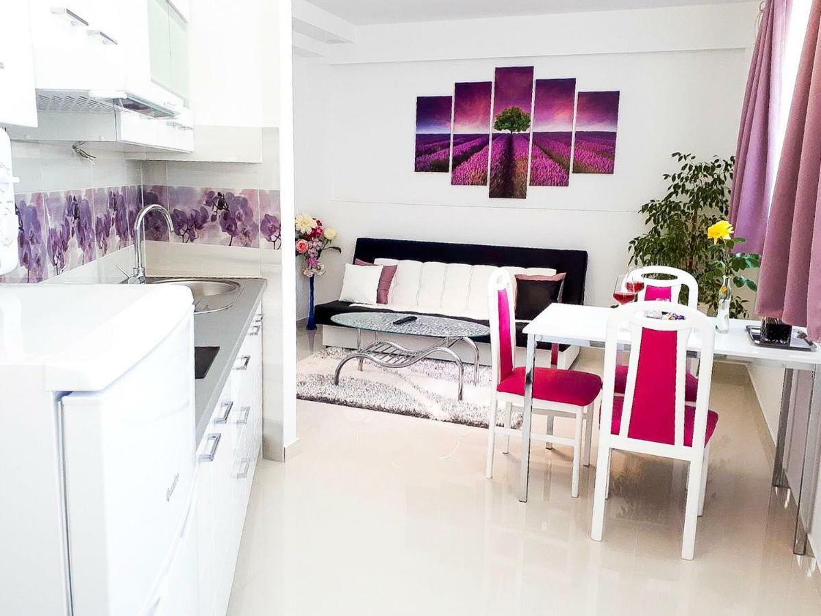 Apartment Silvia マカルスカ エクステリア 写真