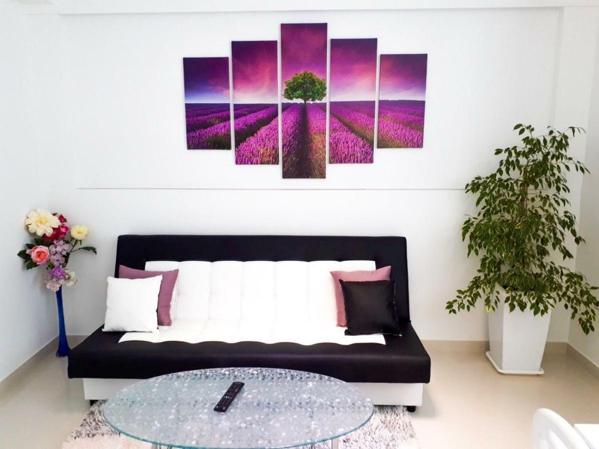 Apartment Silvia マカルスカ エクステリア 写真